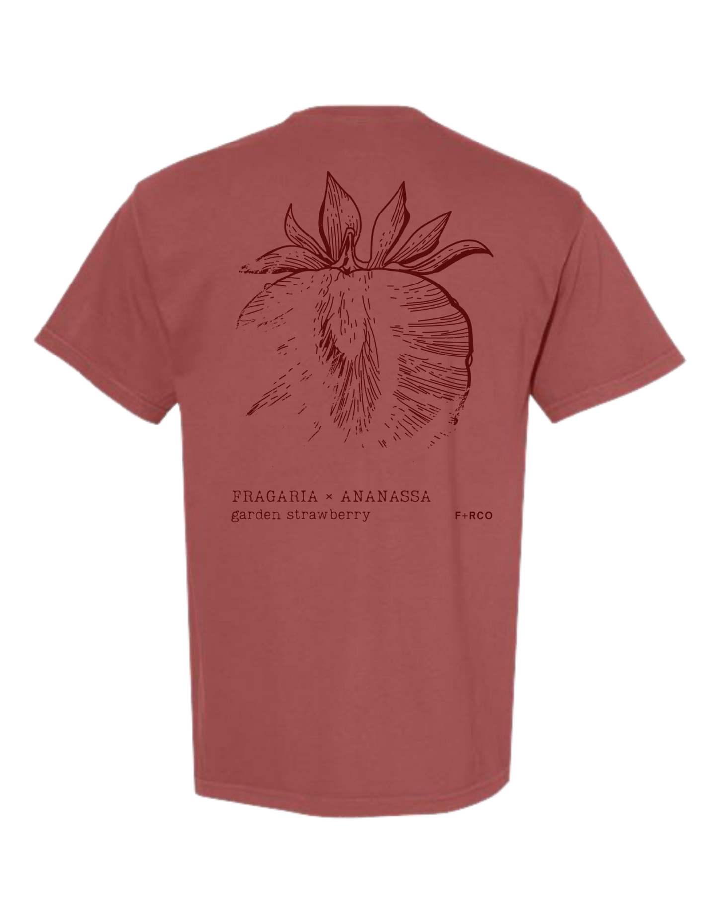 Strawberry Latin T-Shirt