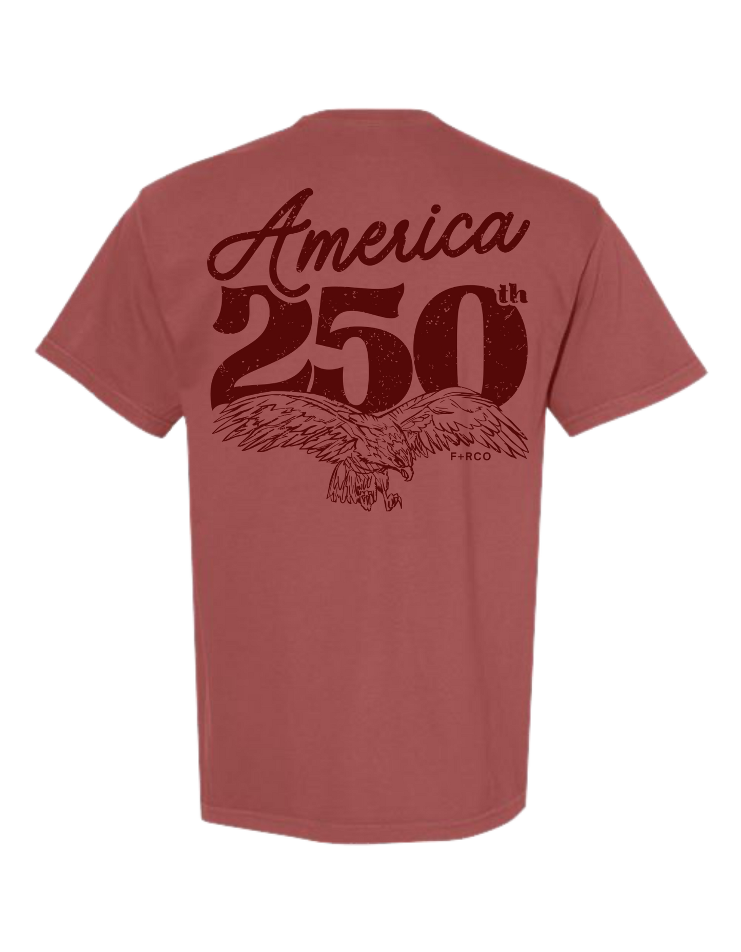 America 250 T-Shirt