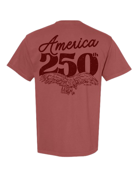 America 250 T-Shirt