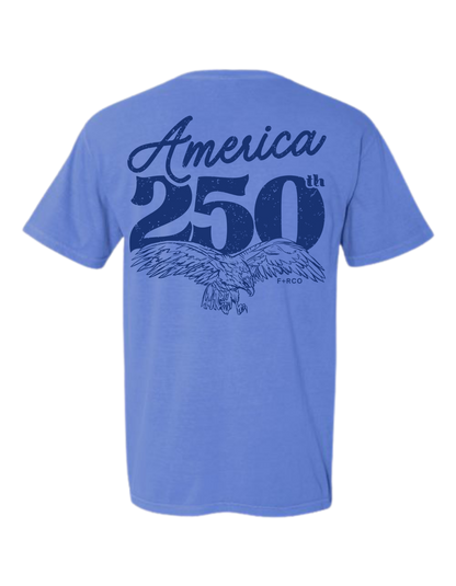 America 250 T-Shirt