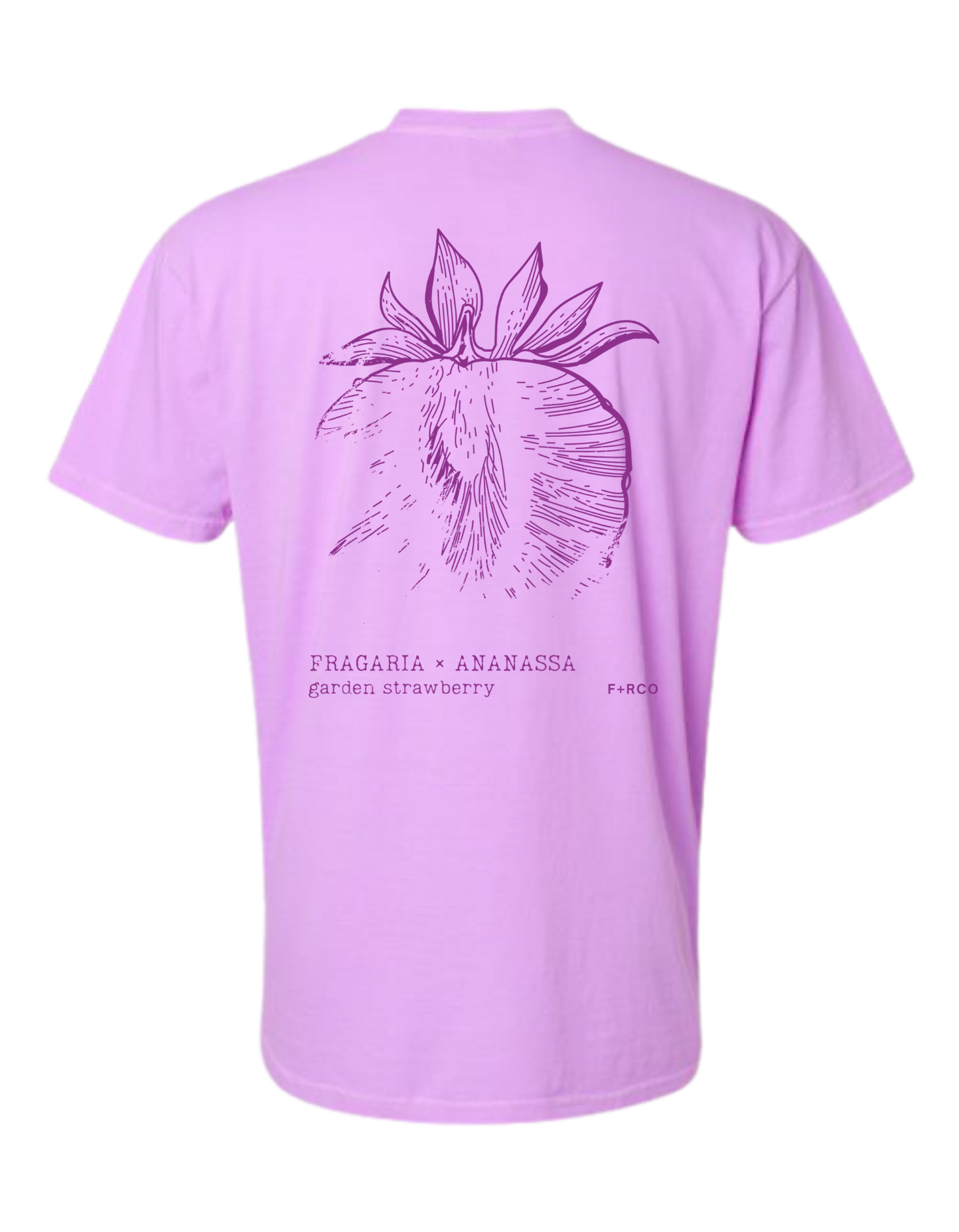 Strawberry Latin T-Shirt
