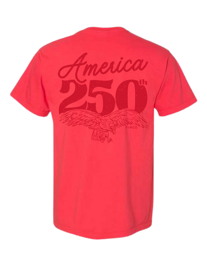 America 250 T-Shirt