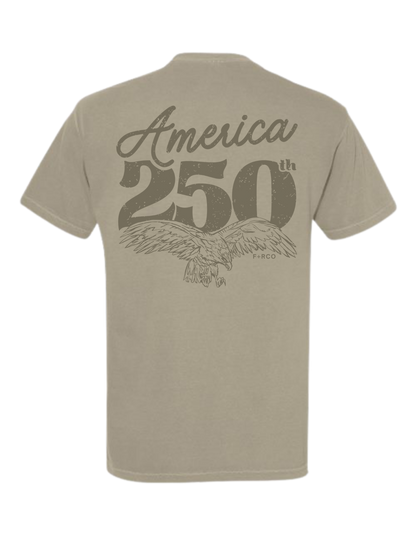 America 250 T-Shirt